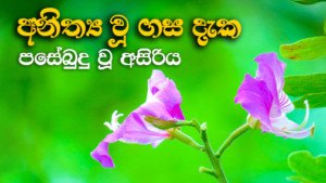 ගස