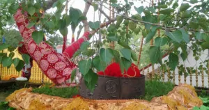 බෝධි වන්දනා