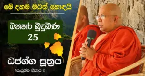 Aluth Daham Wedasatahana 25