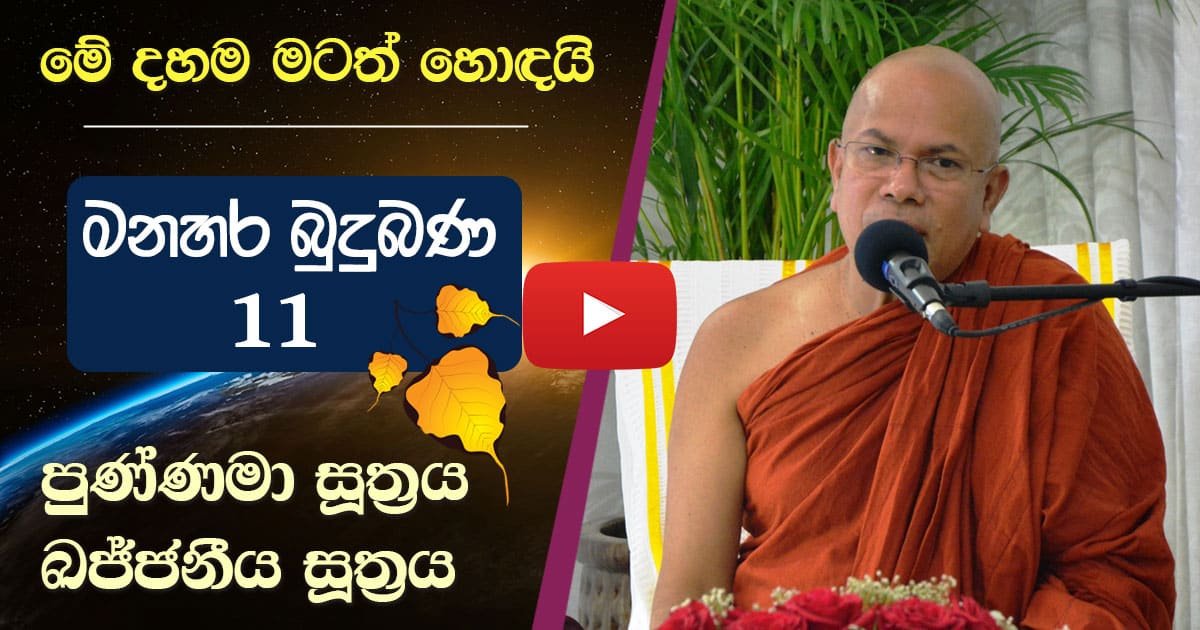 Pure Buddhism