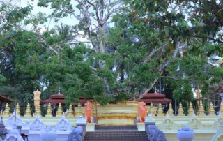 Pothuhera Bodhi Mandapaya