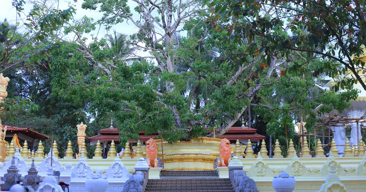 Pothuhera Bodhi Mandapaya