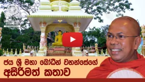 ජය ශ්‍රී මහා බෝධීන් වහන්සේගේ අසිරිමත් කතාව
