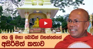 ජය ශ්‍රී මහා බෝධීන් වහන්සේගේ අසිරිමත් කතාව