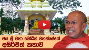 ජය ශ්‍රී මහා බෝධීන් වහන්සේගේ අසිරිමත් කතාව