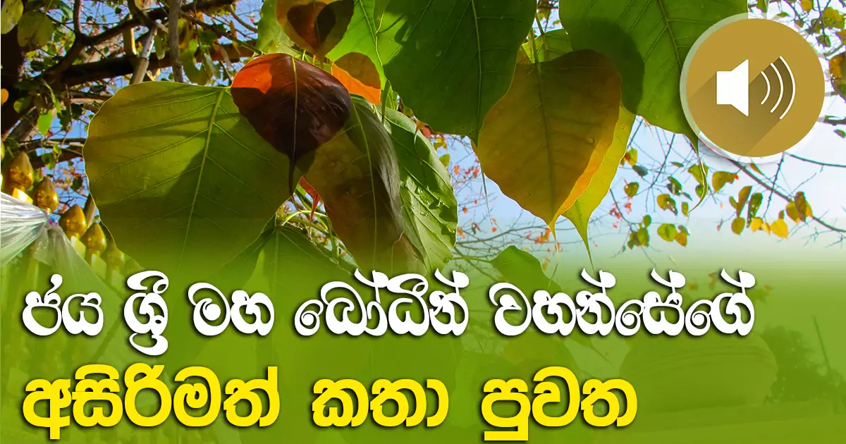 ජය ශ්‍රී මහා බෝධීන් වහන්සේගේ අසිරිමත් කතා පුවත