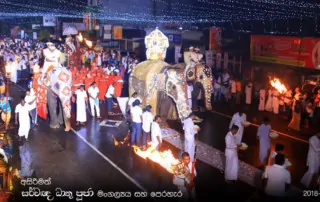 siripa viharaya perahera