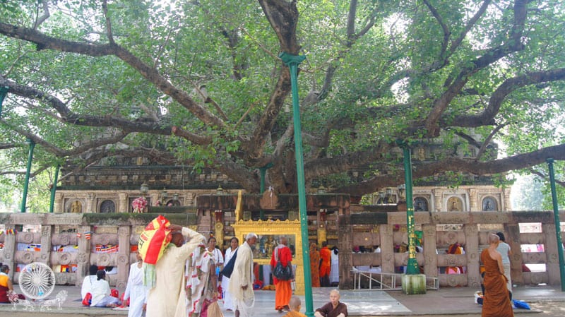 Jaya sri Maha bodhiya