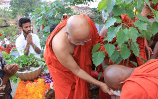 Dahasak Bodhi Rapanaya